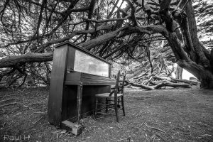 Half Moon Bay PH.jpg