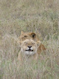 Smile for the Camera.jpg