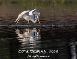 13_08_18_untitled shoot_27-296.jpg