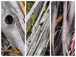 triptych (600 x 450).jpg