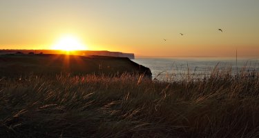 From Flamborough to Scarborough SF.jpg