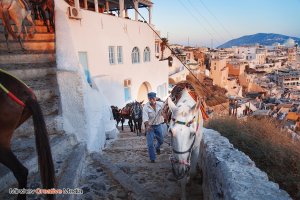 Santorini2013_1.jpg