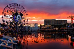 California Adventure.jpg