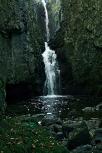 Catrigg Force SF.jpg