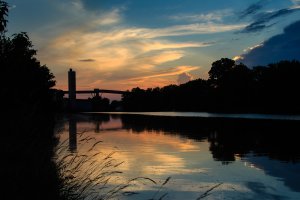 IMG_1929.jpg