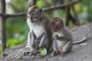 Social Media - Resize.jpg