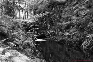 Watendlath Beck SF.jpg