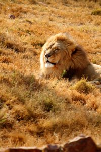 Pretoria Zoo 003.JPG