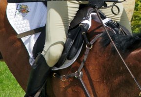 Gary - Bramham 100% 2.jpg