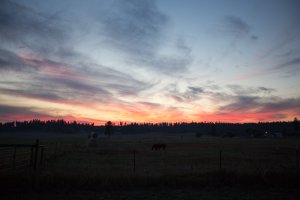 untitled-4109.jpg