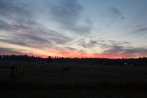 untitled-4110.jpg