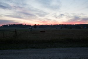 untitled-4111.jpg