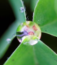 IMG_4149.jpg