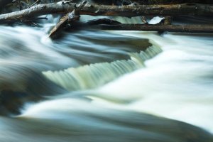 IMG_7346-1 resize.jpg