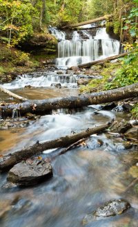 IMG_7604-1 crop01 resize.jpg