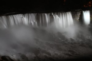 IMG_3552 (Large).JPG