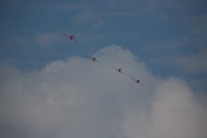 IMG_8118.jpg