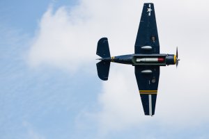 IMG_7810.jpg