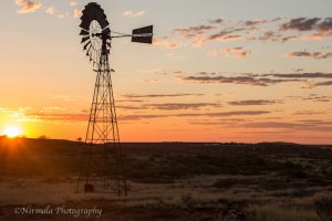 Tanami Windmill 2.jpg