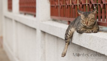 Bangkok-25.jpg