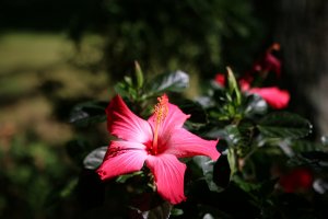 IMG_2449 (2560x1707).jpg