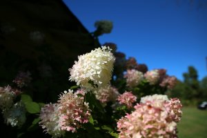 IMG_2434 (2560x1707).jpg