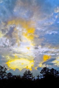 Goldeneye, web size, 10-1-13.jpg