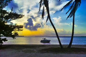 Palms on Sanibel Causeway, web size.jpg