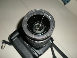 DL-1.jpg