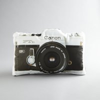 canon throw pillow.jpg