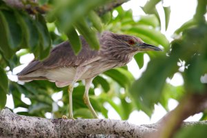 IMG_2620-dpp_2.jpg
