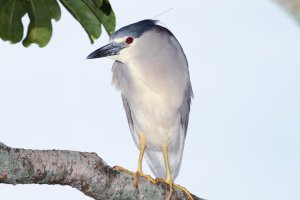 IMG_3534-dpp_2.jpg