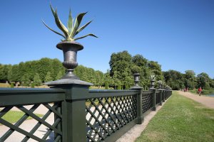 IMG_2318 v1 h900.jpg