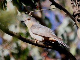 Pound Bend 70D _13-10-12_m_IMG_0840.JPG