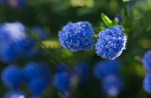 827C6595-Edit-X3.jpg