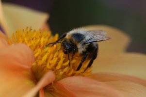 breaktime 10-20-13-2.jpg