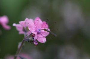 breaktime 10-20-13-1.jpg