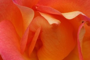 breaktime 10-20-13-5.jpg