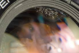 images-2.jpg