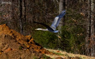 IMG_4834 (1898x1193).jpg