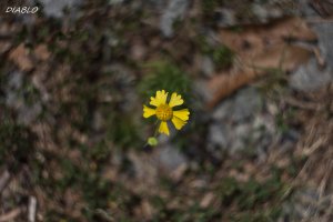 IMG_9860 (2565x1710).jpg