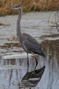 IMG_4764_DxO.jpg