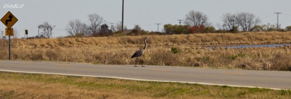 IMG_3265 (2565x873).jpg