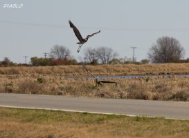 IMG_3271 (2565x1883).jpg