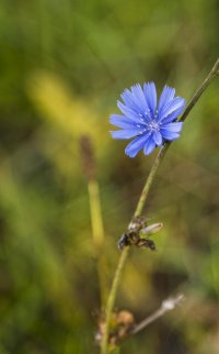 IMG_2718-1 crop rs.jpg