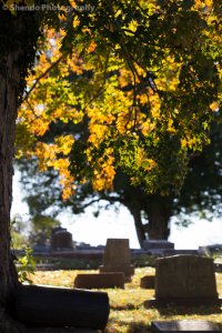 11.2.13 Elmwood-3.jpg