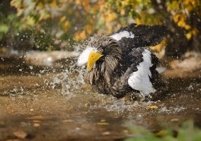 2013_11_04_2560 cs6.jpg