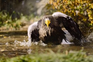 2013_11_04_2582 cs6.jpg