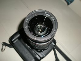 DL-1.jpg