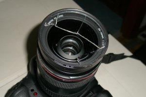 DL-2.jpg